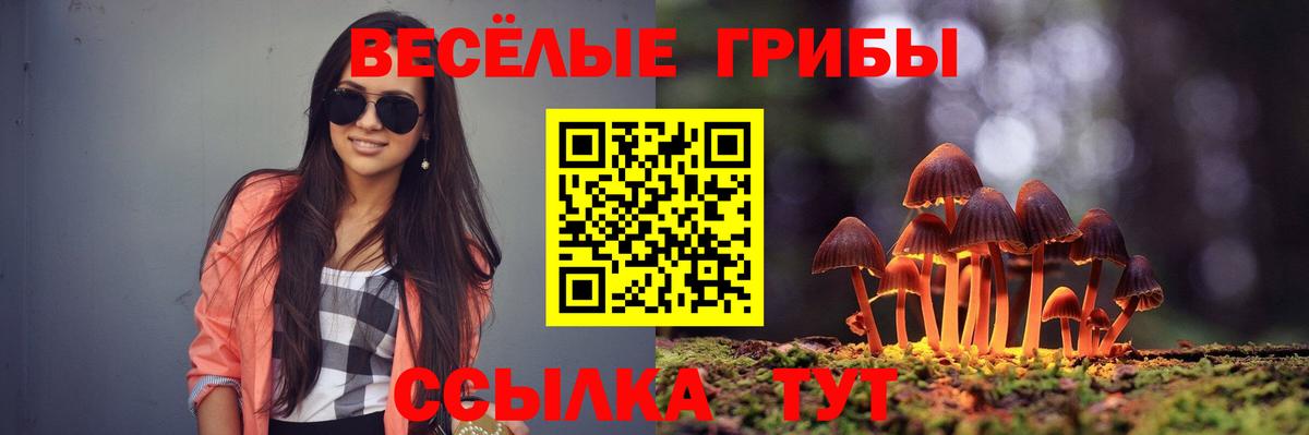 Псилоцибиновые грибы GOLDEN TEACHER Кемерово